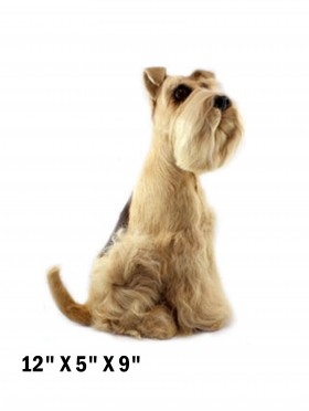 Sitting Irish Terrier